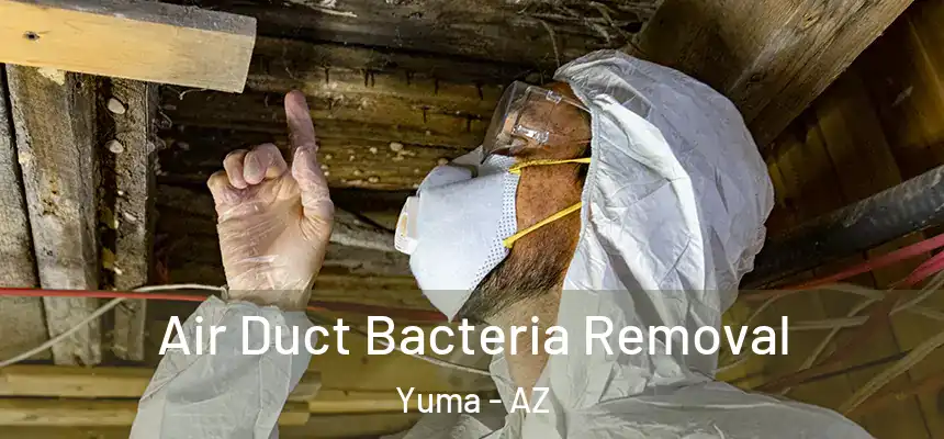  Air Duct Bacteria Removal Yuma - AZ