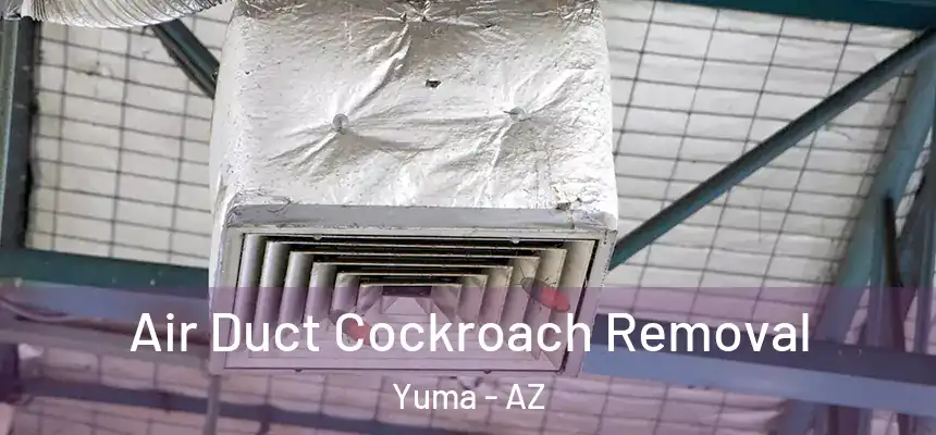  Air Duct Cockroach Removal Yuma - AZ