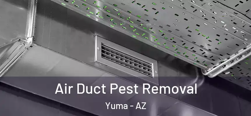 Air Duct Pest Removal Yuma - AZ