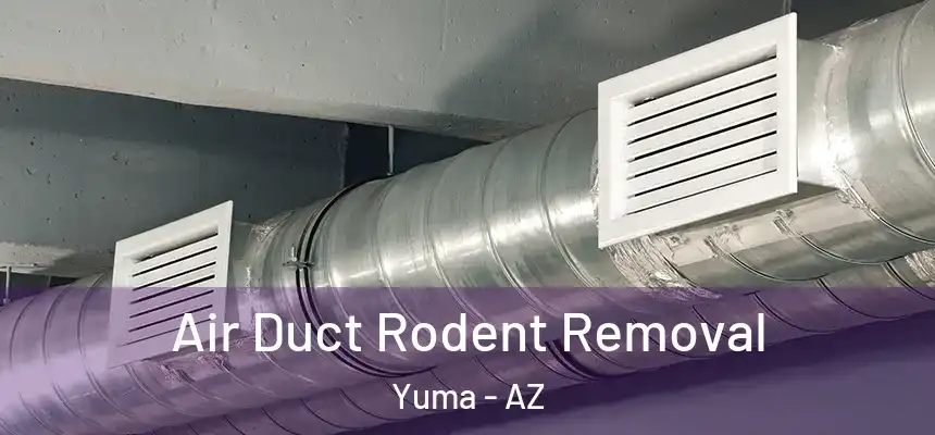 Air Duct Rodent Removal Yuma - AZ
