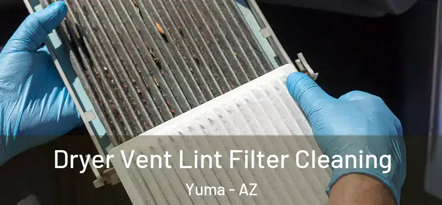  Dryer Vent Lint Filter Cleaning Yuma - AZ