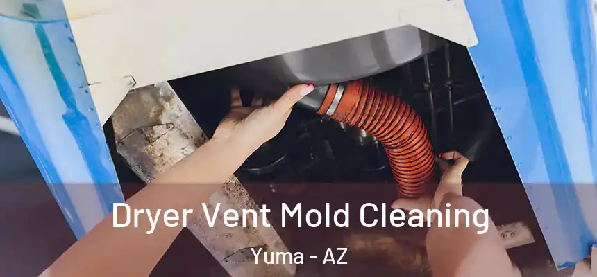 Dryer Vent Mold Cleaning Yuma - AZ