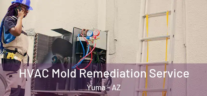 HVAC Mold Remediation Service Yuma - AZ