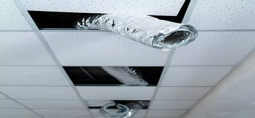 Our Air Duct Pet Hair Removal Services in Yuma, AZ