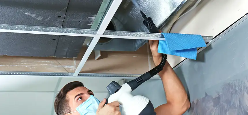 Our Air Duct Rodent Removal Services in Yuma, AZ