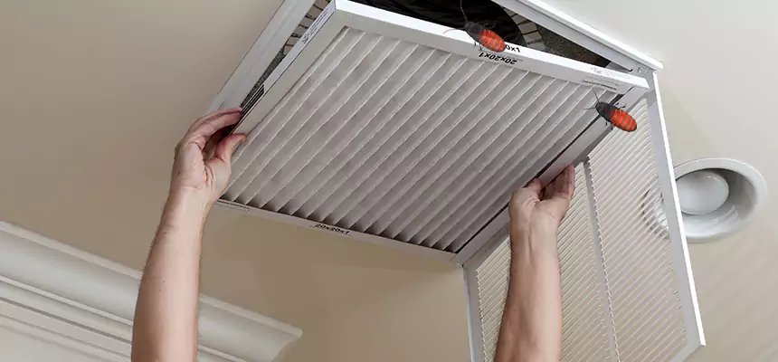 Our Insect Removal from Air Ducts Services in Yuma, AZ