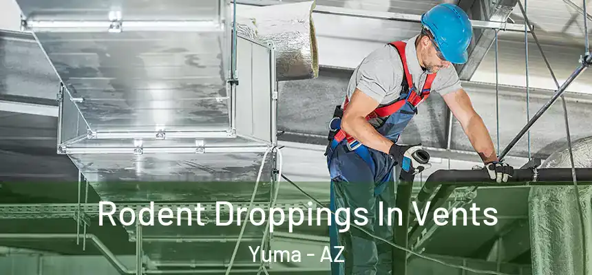 Rodent Droppings In Vents Yuma - AZ