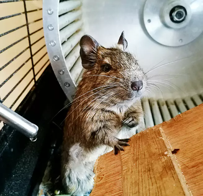 Why Homeowners & Businesses Trust Us Yuma, AZ?