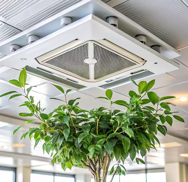 Why Homeowners & Businesses Trust Us in Yuma, AZ?